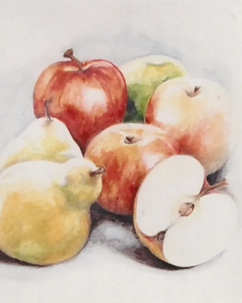 Apples and Pears