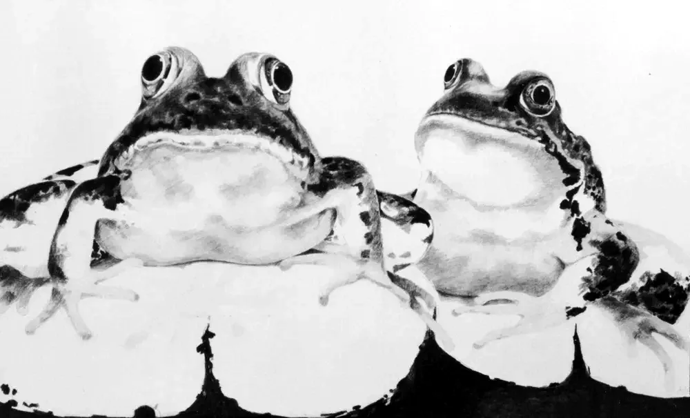 Frog Pair